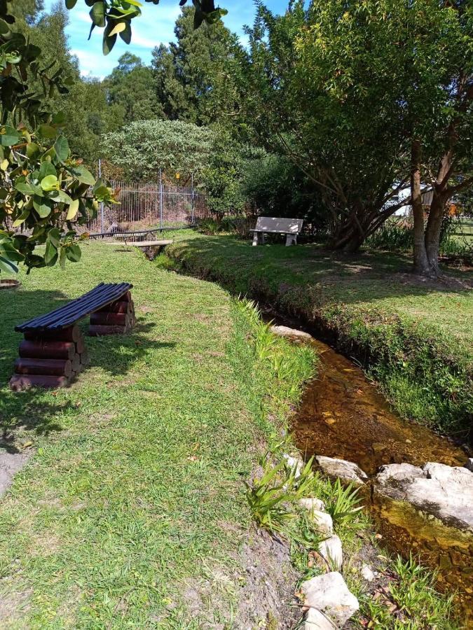 Nadine'S Self - Catering Accommodation ستورمزريفير المظهر الخارجي الصورة